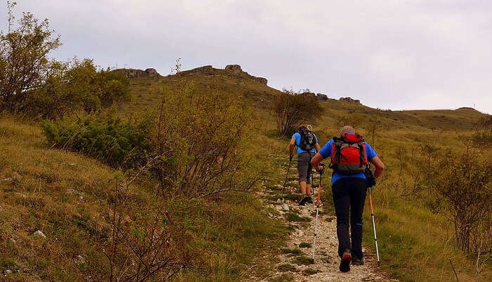 Walking Along The David Scott Trail