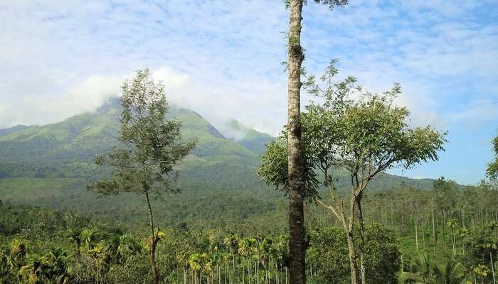 mountains view