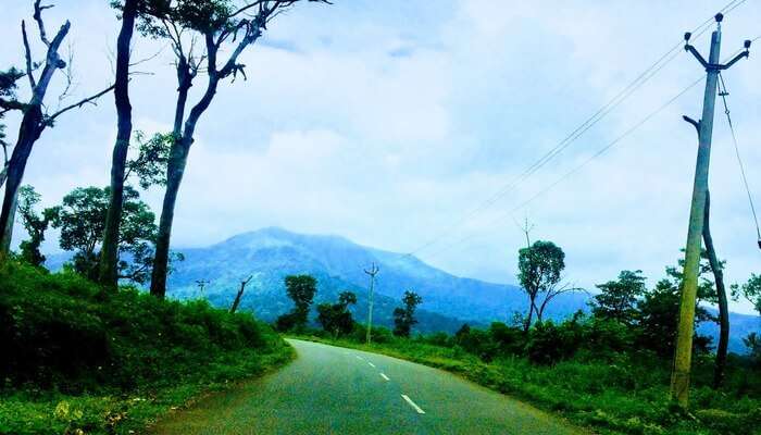 Wayanad road