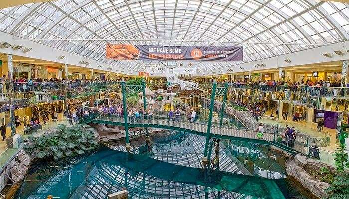 19 EXCITING Things to Do at West Edmonton Mall (for 2023)