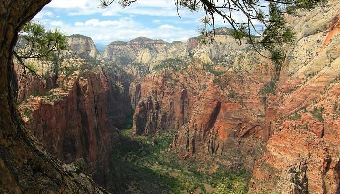 Zion National Park