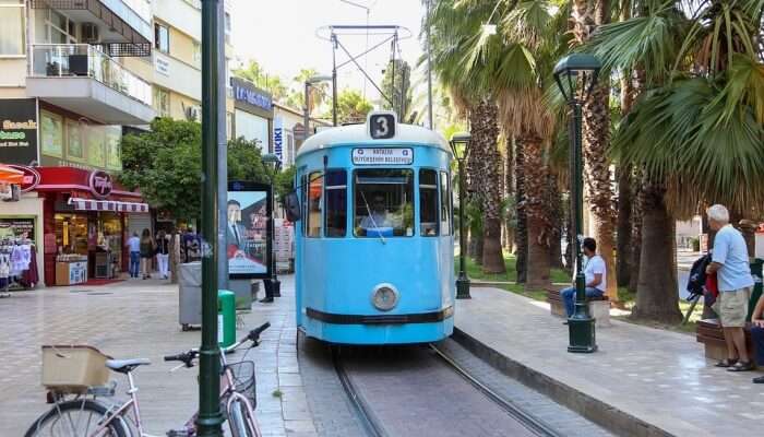 tram riding