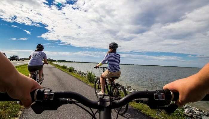 people bicycling together