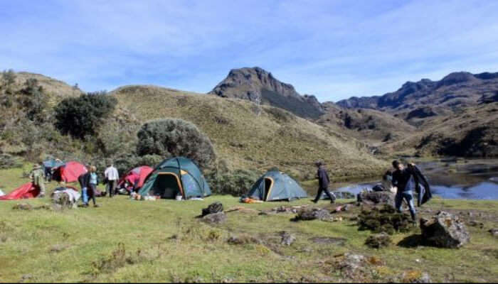 Diamond Head Campground