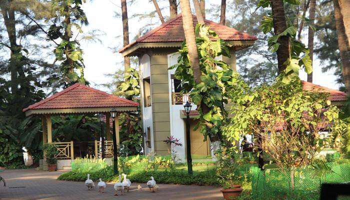 resorts in Kolad