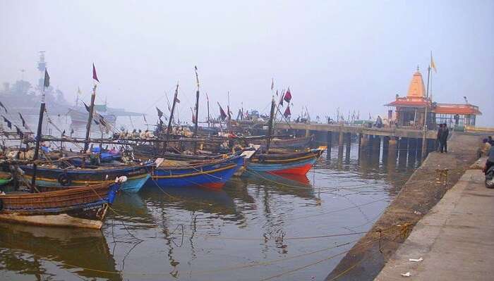 jetty garden