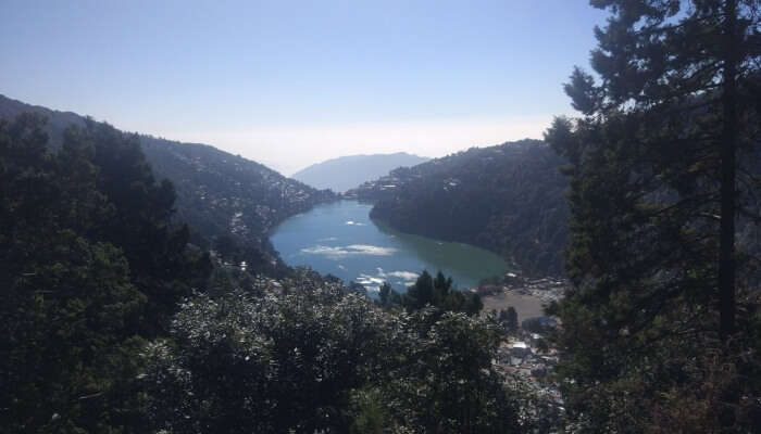 lake amidst lush greenery