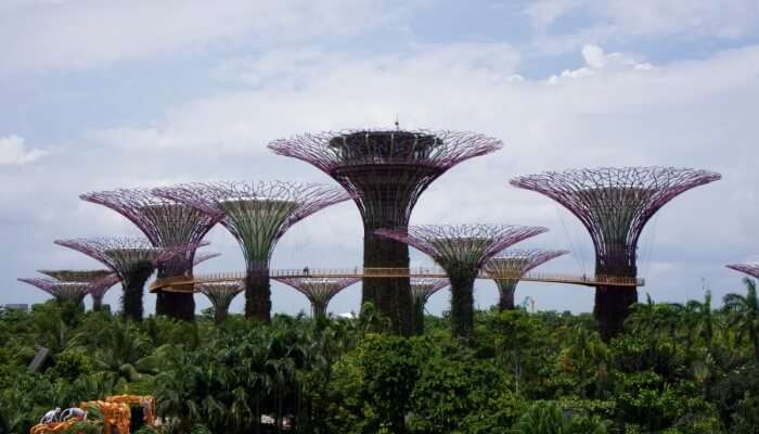 Gardens by the Bay