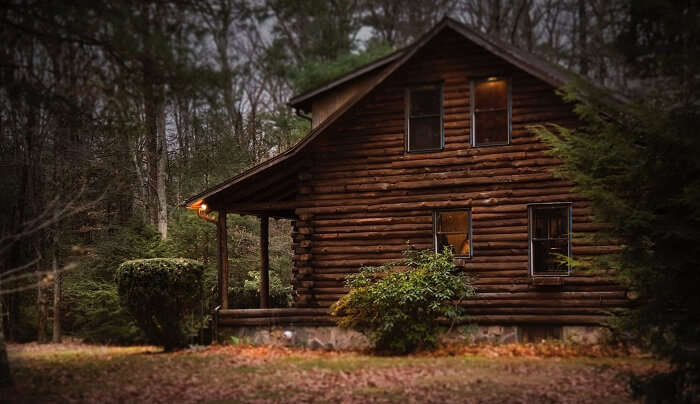 cabin in the woods