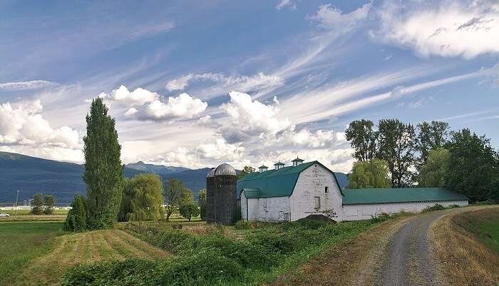 barn in abbotsford