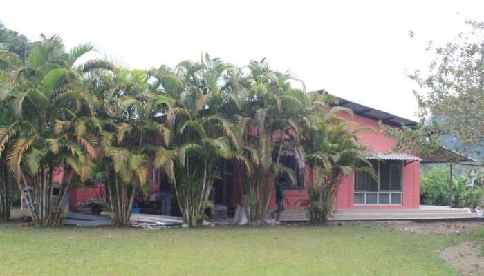 resort backyard