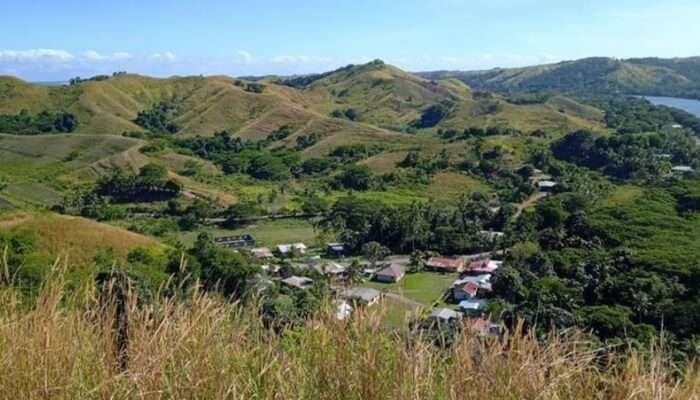 aerial view of lush greenery