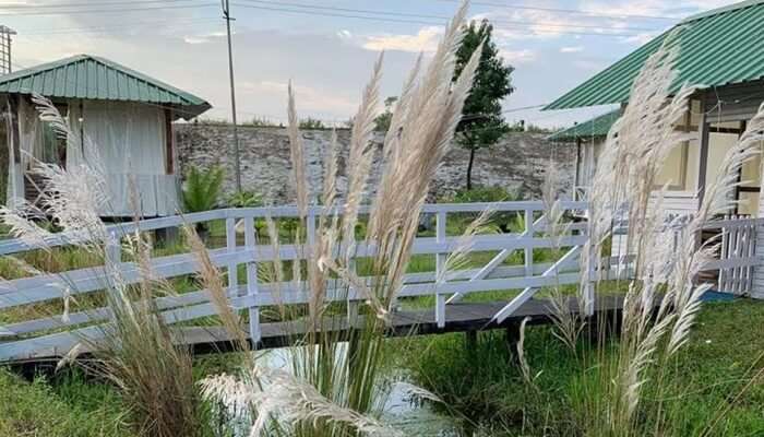 small bridge in a resort