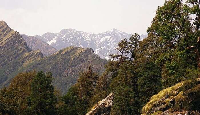 Best Time To Visit Chopta