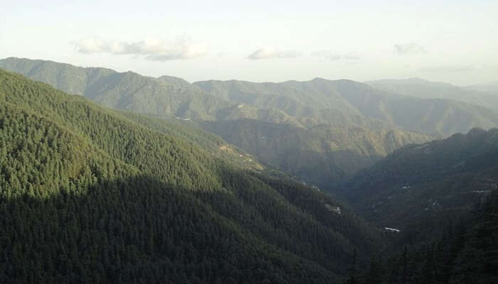 Little Peace At Kufri Valley, Himachal