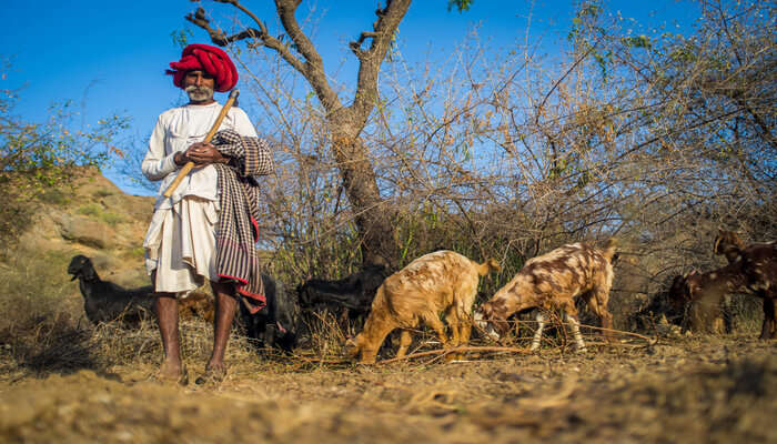 Ajrakhpur Village