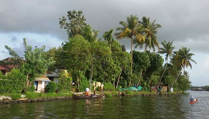 Sail through the backwaters of Alleppey, one of the best places to visit in December in India