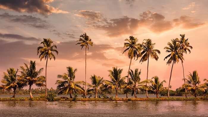 Alleppey backwaters view