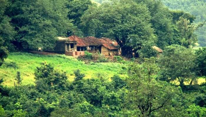 Located in Andhra Pradesh, Araku Valley is a paradise for travellers who love nature.