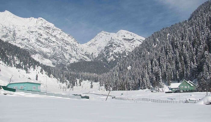 snowcapped mountains