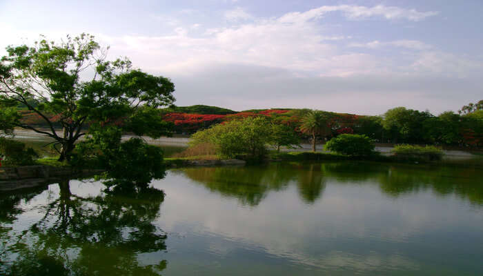 Beauty Of Flower At Lal Bagh Lake