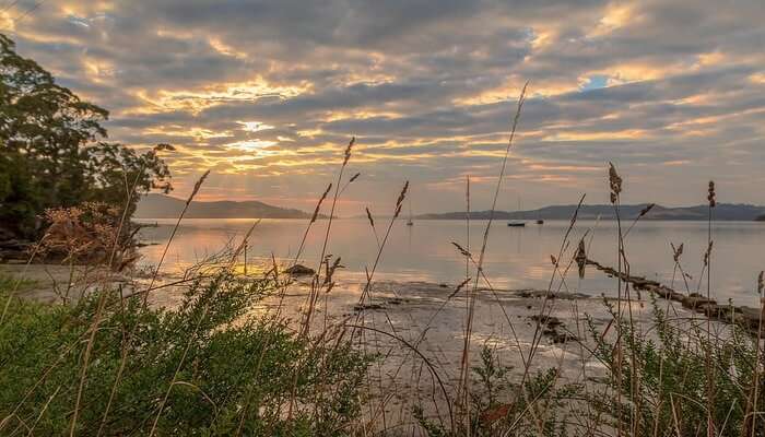 Best Time To Visit Tasmania