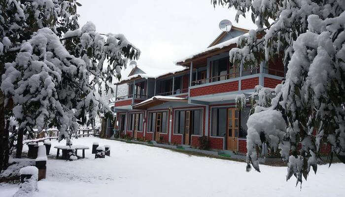 Binsar Oak Paradise