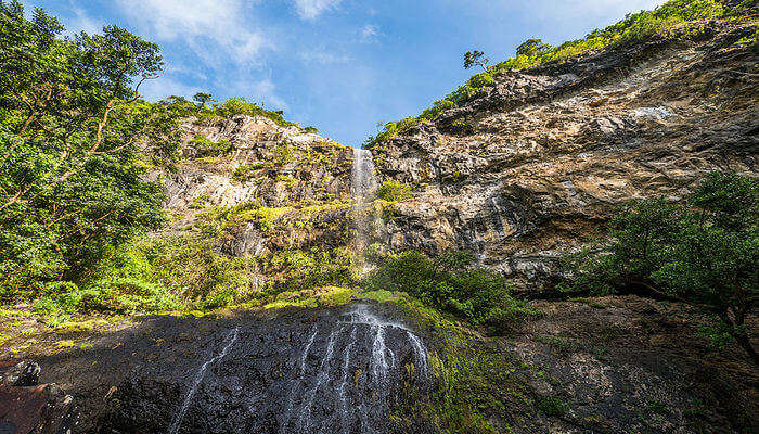 Black River Gorges National Park