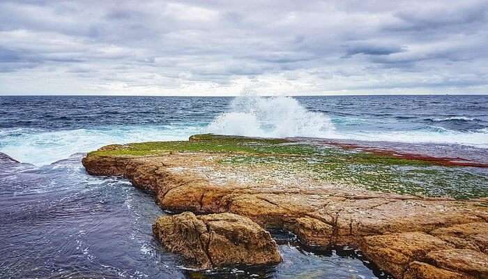 Blue Bay Marine Park