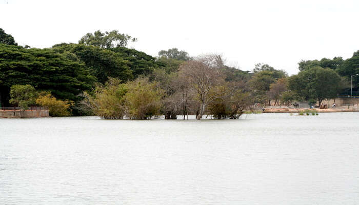 Boating At Sankey Tank