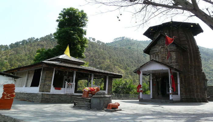 palampur tourist places in hindi