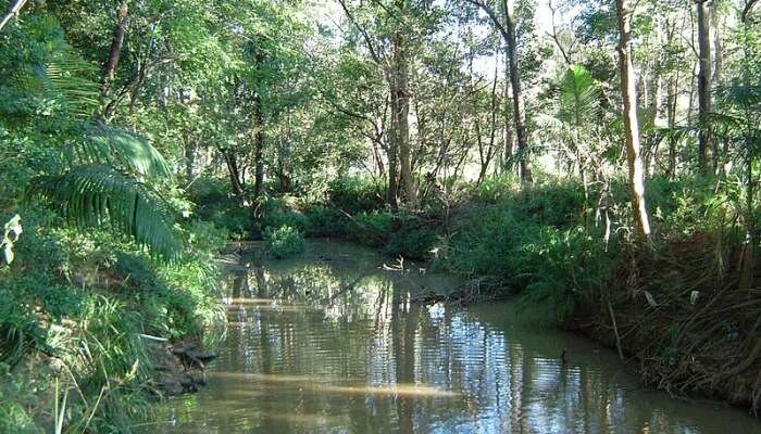 creek located in the eastern and south-eastern areas of Brisbane