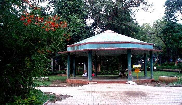 garden surrounded by lush greenery