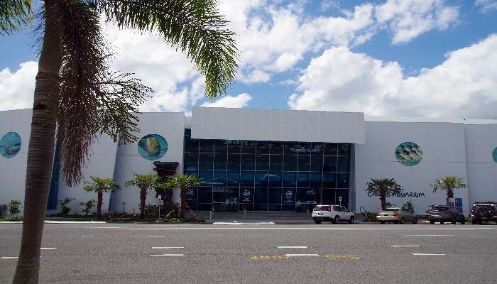 Cairns Aquarium