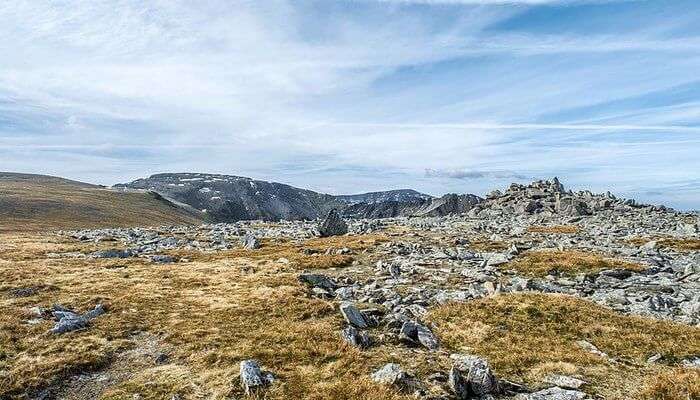 Carnedd Llewelyn