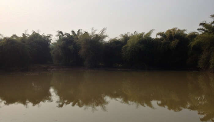 Chandaka Reserve Forest