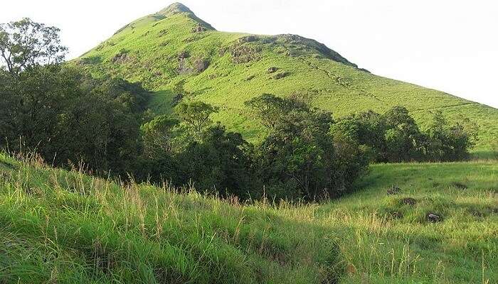 Chembra Peak