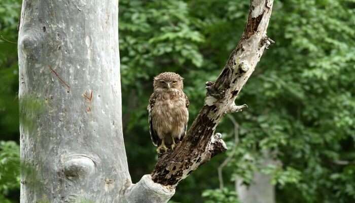 Chinnar Wildlife Sanctuary