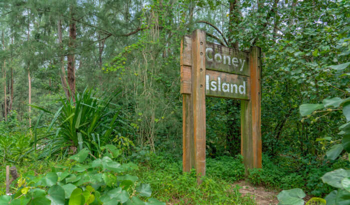 Cooney Island Park