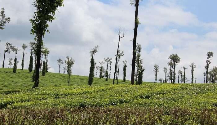  breathtaking landscapes of Coorg