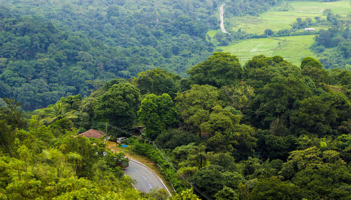 A road in a green valley