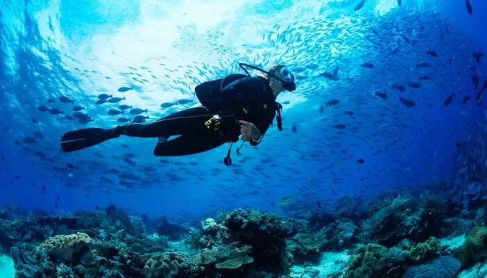 Adventurous Scuba Diving In Sydney