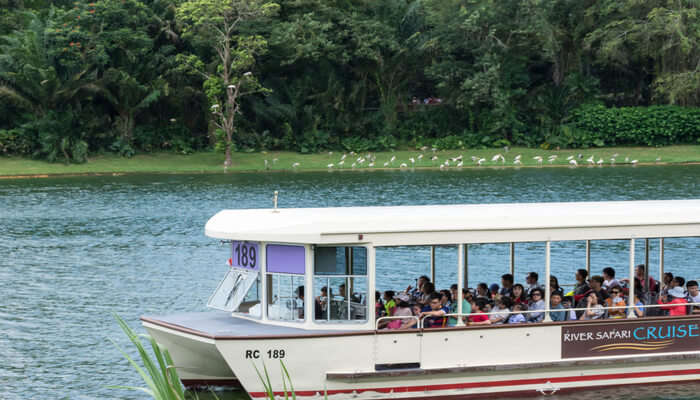 Cruise In The Singapore River Safari