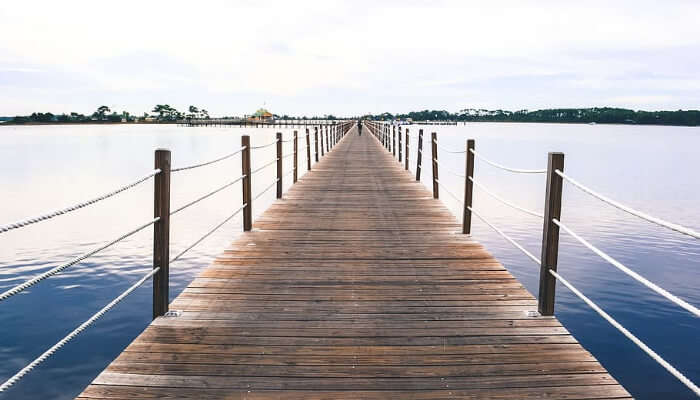 View of Beach