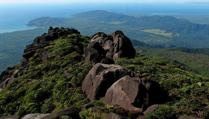 Daintree National Park