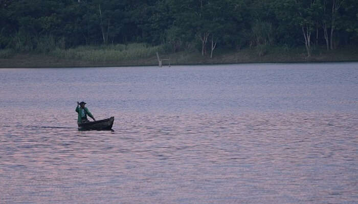 Doyang River