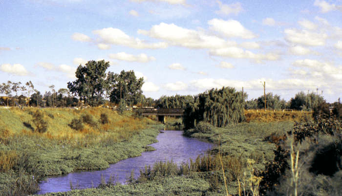 Duck River