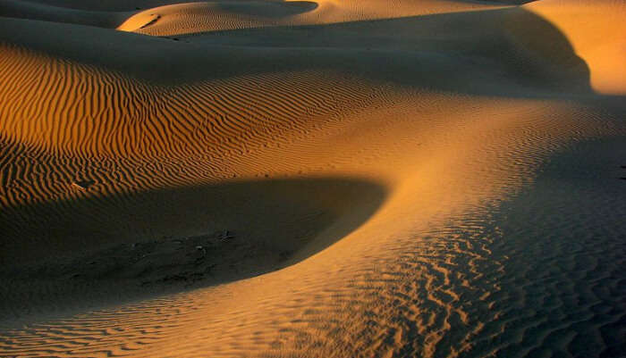 Experience Dune Bashing