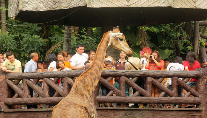 Dusit Zoo In Bangkok