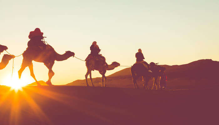 Camel ride